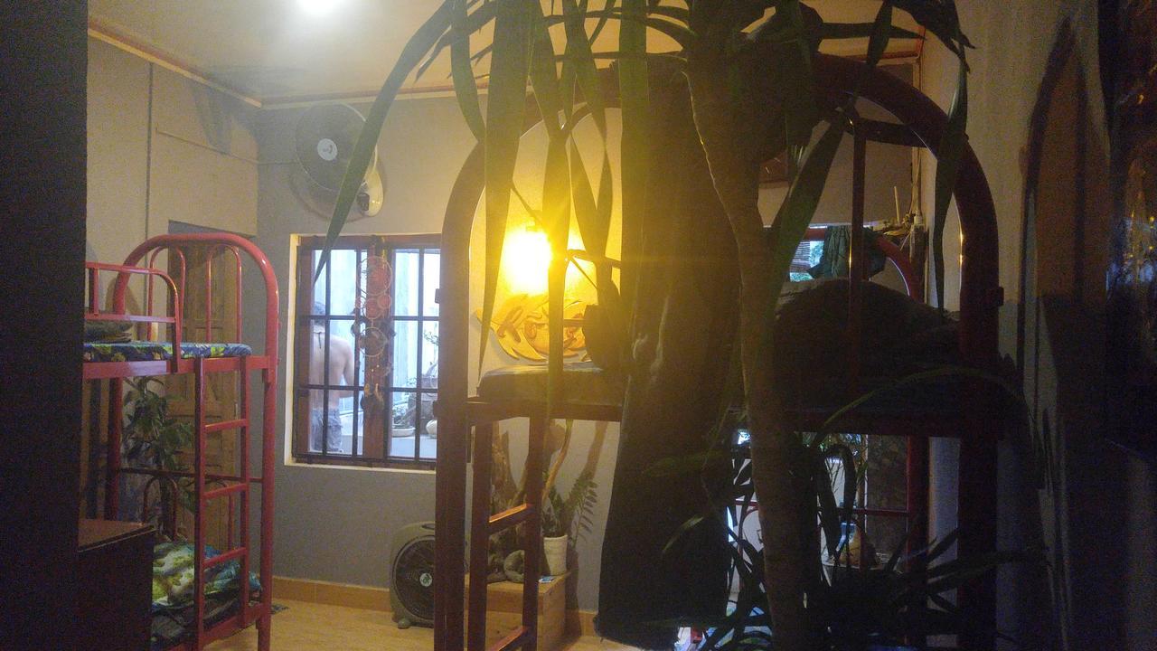קוי נון Rong Homestay מראה חיצוני תמונה